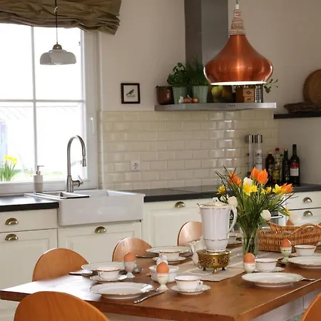 Lady And The Tramp Comfortable Vacation