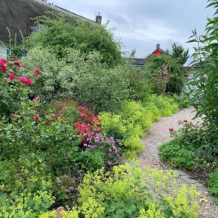 Apartment Lady And The Tramp Comfortable Vacation Zierow