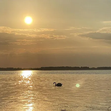 Lady And The Tramp Comfortable Vacation *