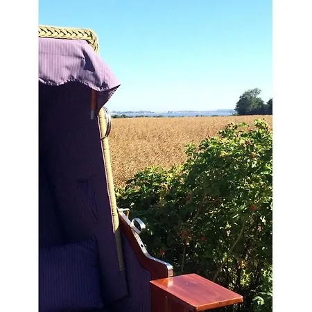 Lady And The Tramp Comfortable Vacation