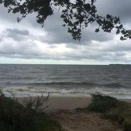 Lady And The Tramp Comfortable Vacation * Zierow