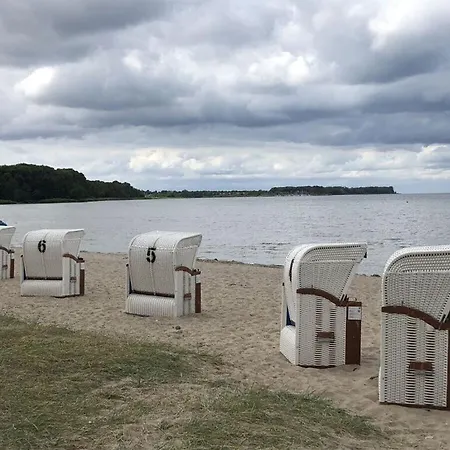 Lady And The Tramp Comfortable Vacation * Zierow