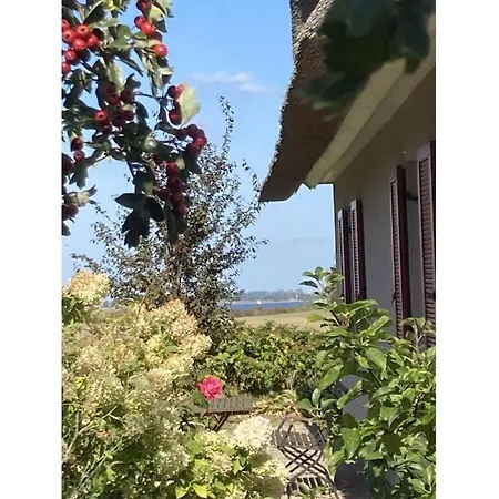 Lady And The Tramp Comfortable Vacation *