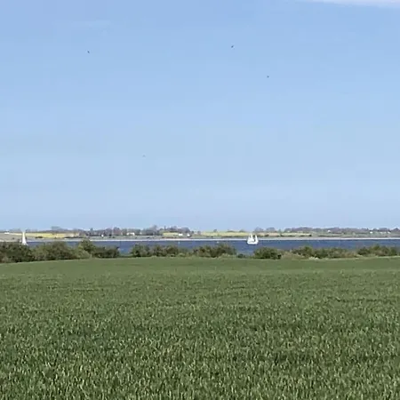 Lady And The Tramp Comfortable Vacation * Zierow