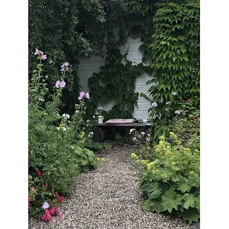 Apartment Lady And The Tramp Comfortable Vacation