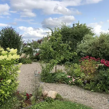 Lady And The Tramp Comfortable Vacation