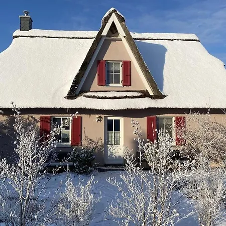 Lady And The Tramp Comfortable Vacation Apartment *