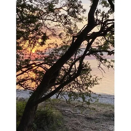 Lady And The Tramp Comfortable Vacation * Zierow