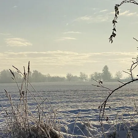 Lady And The Tramp Comfortable Vacation * Zierow