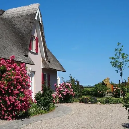 Apartment Lady And The Tramp Comfortable Vacation