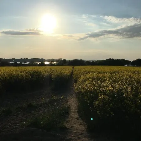 Apartment Lady And The Tramp Comfortable Vacation *