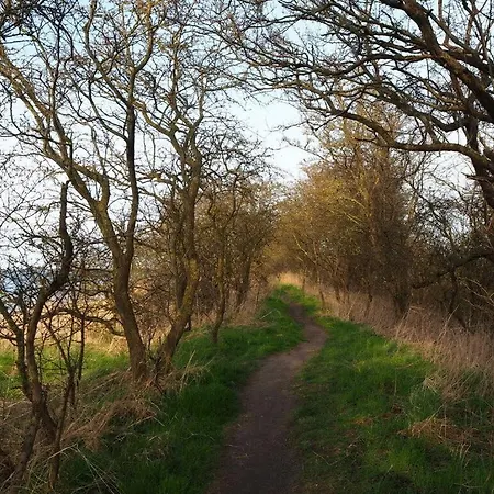 Apartment Lady And The Tramp Comfortable Vacation Zierow